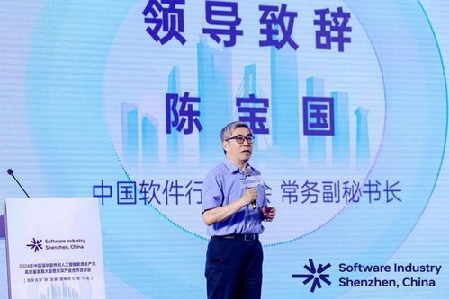 2024深圳軟智大會圓滿落幕 共繪數(shù)字經(jīng)濟新藍圖，軟件開發(fā)賦能新質(zhì)生產(chǎn)力