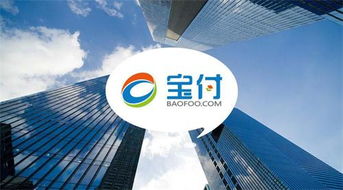 寶付支付 深耕通信電商領域，攜手行業巨頭共繪新藍圖